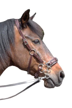 FRA Aram Hackamore (System 2) Leather, Jaw Straps, W/ Scissors -Cavallo Verkäufe 322944 DBR 1