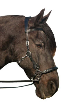 FRA Calli Hackamore (System 2) Mit Zügeln -Cavallo Verkäufe 322945 BL 3