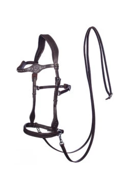FRA Dandy Sidepull (System 3) Leather, W/ Leather Clip Reins -Cavallo Verkäufe 322950 BR 1