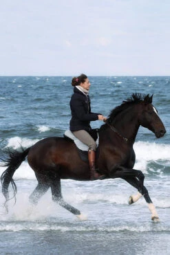 FRA Macon Extra Lammfell Reitkissen Mit Pauschen, S -Cavallo Verkäufe 322957 BL G 2