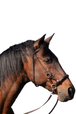 FRA Pardoes Sidepull (System 3) Leder Mit Anti Slip Zügeln -Cavallo Verkäufe 322960 BR 2