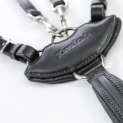 Kavalkade Vorderzeug Dekor, W 7 Kavalkade Vorderzeug Dekor, W -Cavallo Verkäufe 325207 BL 3