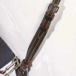 Kavalkade Vorderzeug Dekor, W 9 Kavalkade Vorderzeug Dekor, W -Cavallo Verkäufe 325207 BR 2