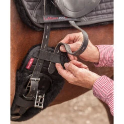 Lemieux Dressurgurt-Überzug 7 Lemieux Dressurgurt-Überzug -Cavallo Verkäufe 326245 BL 2