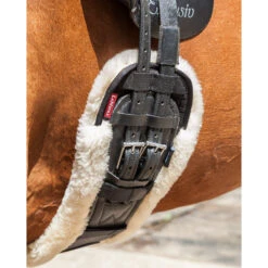 Lemieux Dressurgurt-Überzug 9 Lemieux Dressurgurt-Überzug -Cavallo Verkäufe 326245 WH 2