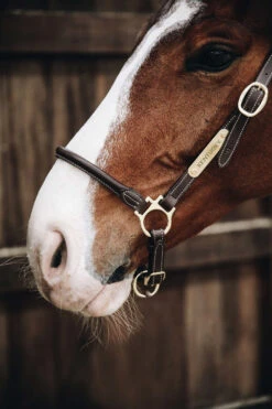 Kentucky Horsewear Grooming Halfter 6 Kentucky Horsewear Grooming Halfter -Cavallo Verkäufe 326420 BR 4