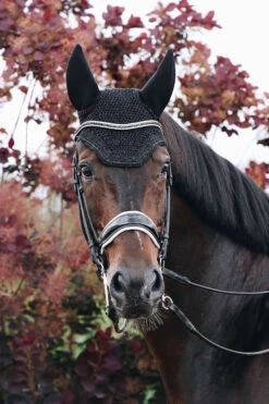 Kentucky Horsewear Wellington Sparkling Fliegenhaube -Cavallo Verkäufe 326842 BL 3
