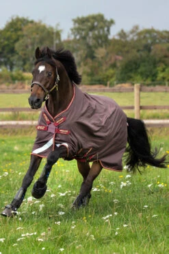 Horseware Amigo Bravo Disc Regendecke, 0g