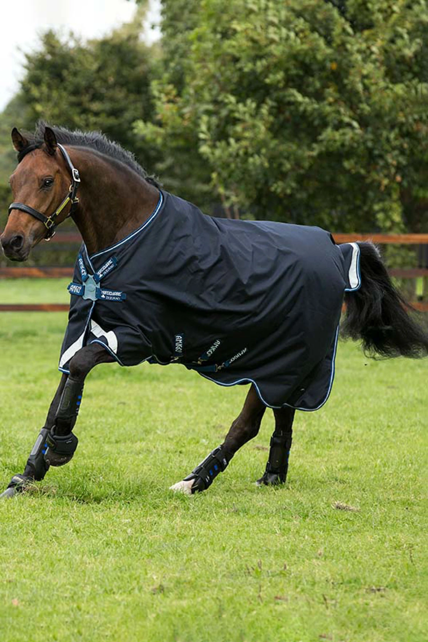 Horseware Amigo Bravo Disc Regendecke, 0g 2 Horseware Amigo Bravo Disc Regendecke, 0g – Bild 2