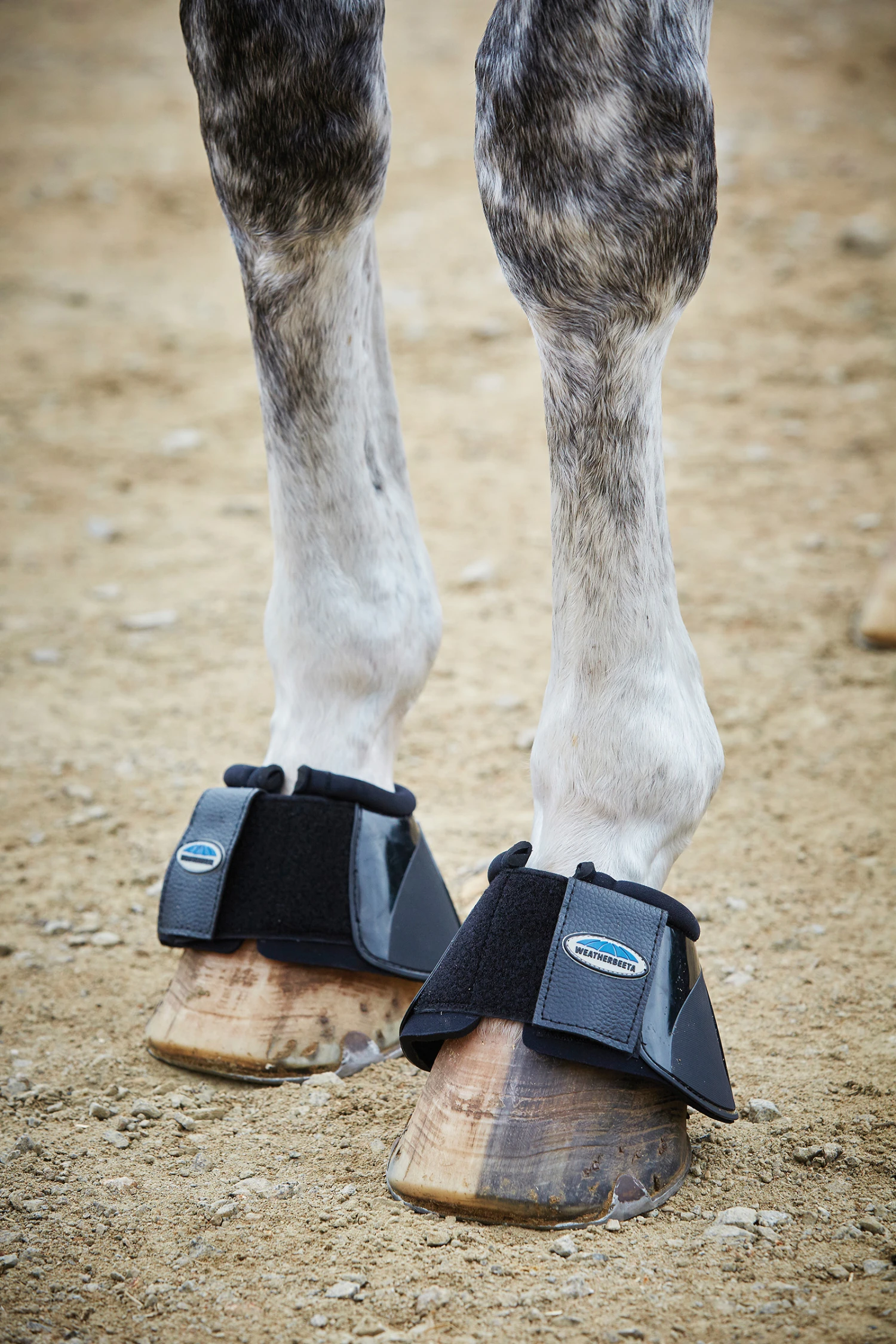 Weatherbeeta Impact Hufglocken 2 Weatherbeeta Impact Hufglocken – Bild 2