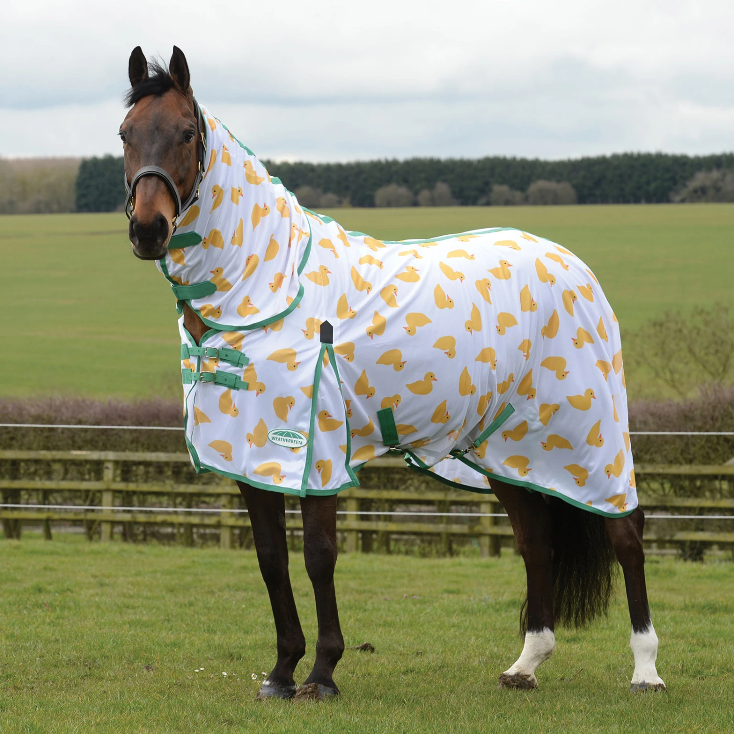 Weatherbeeta Comfitec Essential Mesh II Fliegendecke Mit Festem Halsteil 2 Weatherbeeta Comfitec Essential Mesh II Fliegendecke Mit Festem Halsteil – Bild 2