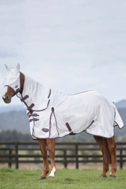 Weatherbeeta Comfitec Essential Mesh II Fliegendecke Mit Festem Halsteil 22 Weatherbeeta Comfitec Essential Mesh II Fliegendecke Mit Festem Halsteil -Cavallo Verkäufe 329554 WH DRE 1
