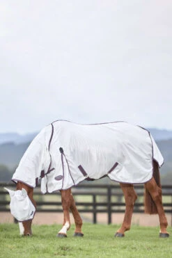 Weatherbeeta Comfitec Essential Mesh II Fliegendecke Mit Festem Halsteil 23 Weatherbeeta Comfitec Essential Mesh II Fliegendecke Mit Festem Halsteil -Cavallo Verkäufe 329554 WH DRE 2