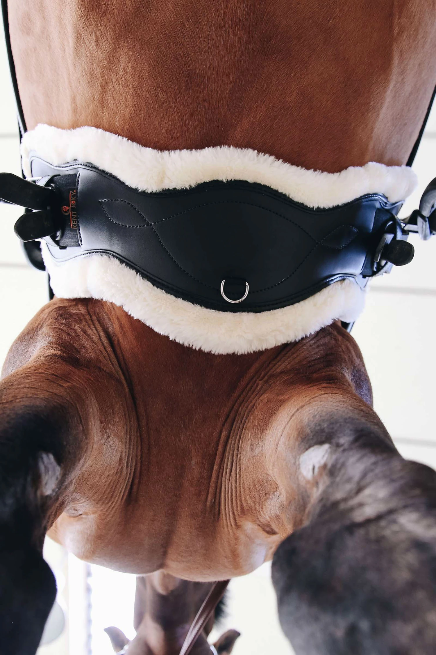 Kentucky Horsewear Lederkurzgurt Sheepskin Dressage 5 Kentucky Horsewear Lederkurzgurt Sheepskin Dressage – Bild 5