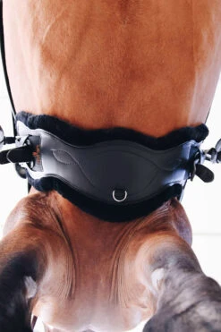 Kentucky Horsewear Lederkurzgurt Sheepskin Dressage 12 Kentucky Horsewear Lederkurzgurt Sheepskin Dressage -Cavallo Verkäufe 329961 BL 6