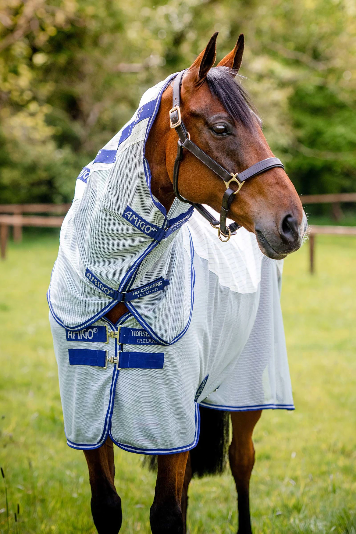 Horseware Amigo Airflow Fliegendecke Mit Abnehmbarem Halsteil 4 Horseware Amigo Airflow Fliegendecke Mit Abnehmbarem Halsteil – Bild 4
