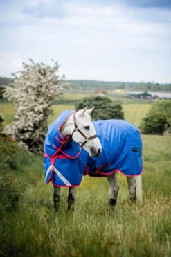 Horseware Amigo Bravo 12 Reflective Plus Winterdecke Mit Abnehmbarem Halsteil, 250g -Cavallo Verkäufe 332730 B PI 5