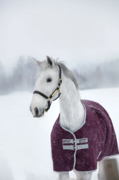 Horseware Amigo Hero Ripstop Winterdecke, 200g