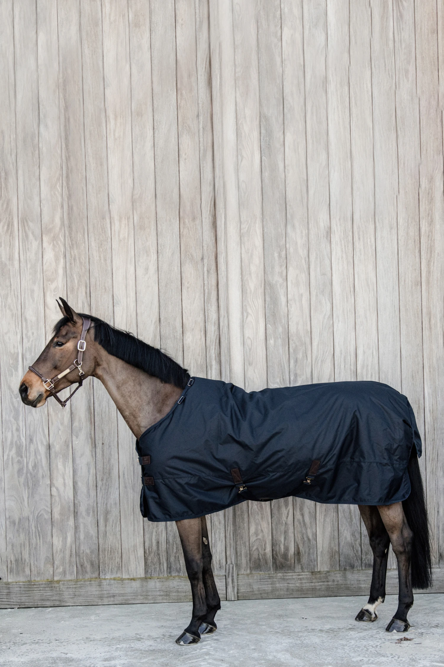 Kentucky Horsewear All Weather Waterproof Classic Regendecke, 50g 1 Kentucky Horsewear All Weather Waterproof Classic Regendecke, 50g