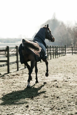 Kentucky Horsewear All Weather Waterproof Classic Regendecke, 50g 6 Kentucky Horsewear All Weather Waterproof Classic Regendecke, 50g -Cavallo Verkäufe 332982 DB 3