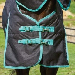 Weatherbeeta Green-Tec Regendecke Mit Abnehmbarem Halsteil, 50g -Cavallo Verkäufe 333104 BL BDGR 3