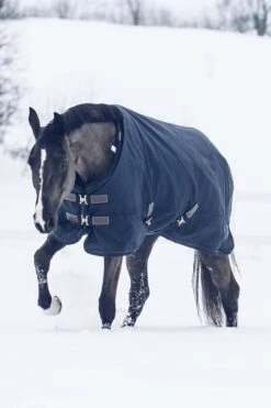 Kentucky Horsewear All Weather Waterproof Classic Winterdecke, 300g -Cavallo Verkäufe 333289 DB 5
