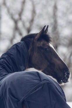 Kentucky Horsewear All Weather Waterproof Classic Winterdecke, 300g -Cavallo Verkäufe 333289 DB 6