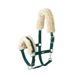 Eskadron Lammfell Halfter Dornschnalle 11 Eskadron Lammfell Halfter Dornschnalle -Cavallo Verkäufe 333392 FDGR 1