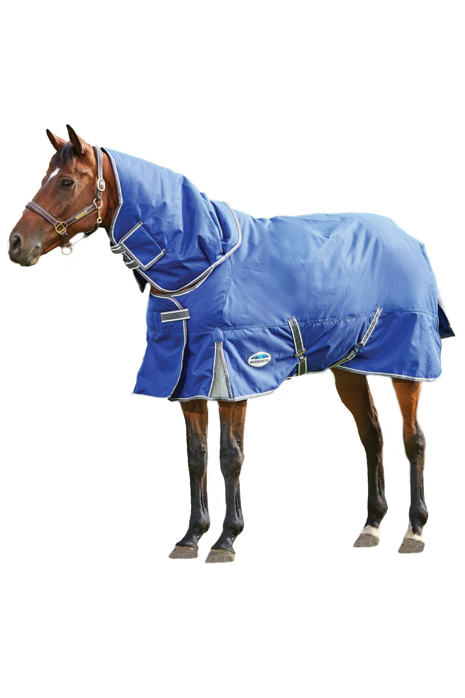 Weatherbeeta Comfitec Premier Free II Weidedecke Mit Abnehmbarem Halsteil, 100g 1 Weatherbeeta Comfitec Premier Free II Weidedecke Mit Abnehmbarem Halsteil, 100g