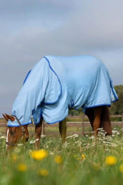 Horseware Amigo Hoody Exzemer Decke Mit Festem Halsteil -Cavallo Verkäufe 334223 ABB SGB SI 4