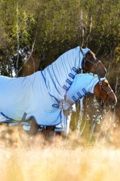 Horseware Amigo Hoody Exzemer Decke Mit Festem Halsteil -Cavallo Verkäufe 334223 ABB SGB SI 5