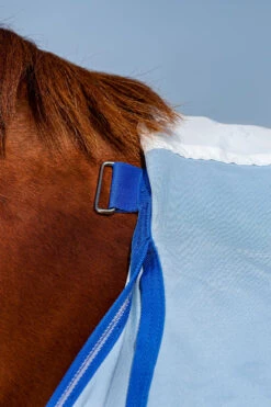 Horseware Amigo Hoody Exzemer Decke Mit Festem Halsteil -Cavallo Verkäufe 334223 ABB SGB SI 9