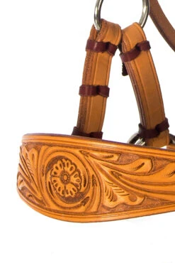 F.R.A. Diego Gebisslose Trense -Cavallo Verkäufe 334265 NAT 9