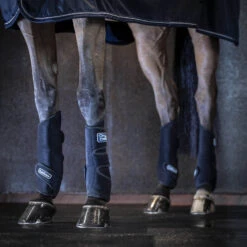 LeMieux Tendon Chill Kühlgamaschen -Cavallo Verkäufe 335036 BL 4