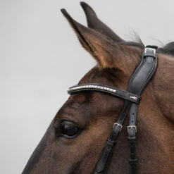Schockemöhle Equitus Rho Genickstück -Cavallo Verkäufe 335287 BL SI 3