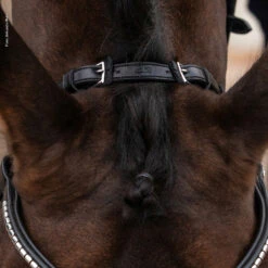 Schockemöhle Equitus Rho Genickstück -Cavallo Verkäufe 335287 BL SI 4