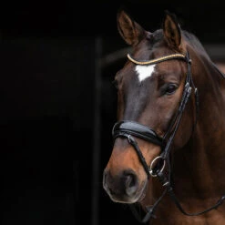 Schockemöhle Stanton Select Trense -Cavallo Verkäufe 335292 PBL OR SI 2