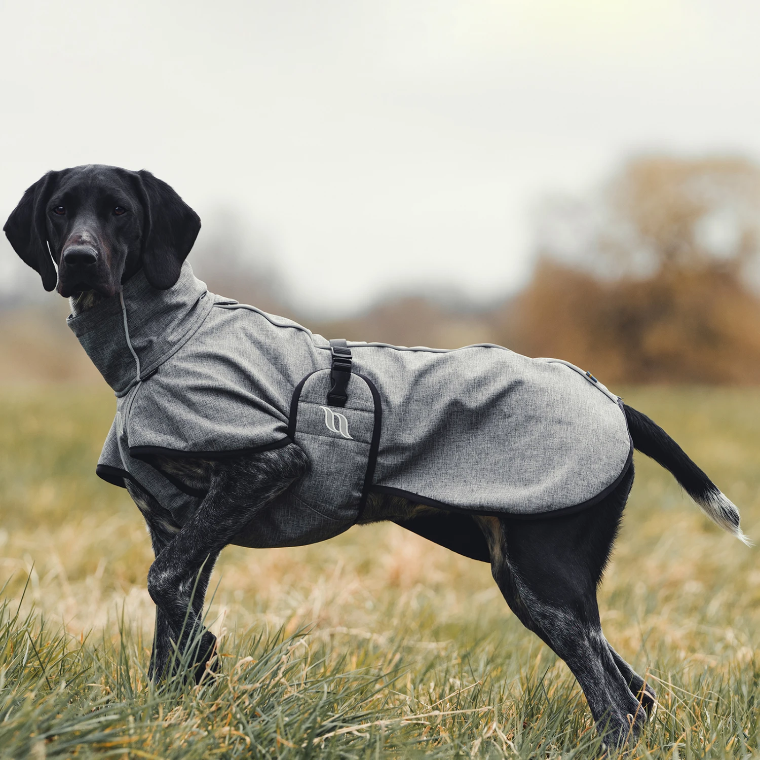 Back On Track Bark All-Round Hundemantel, 25-35cm 7 Back On Track Bark All-Round Hundemantel, 25-35cm – Bild 7