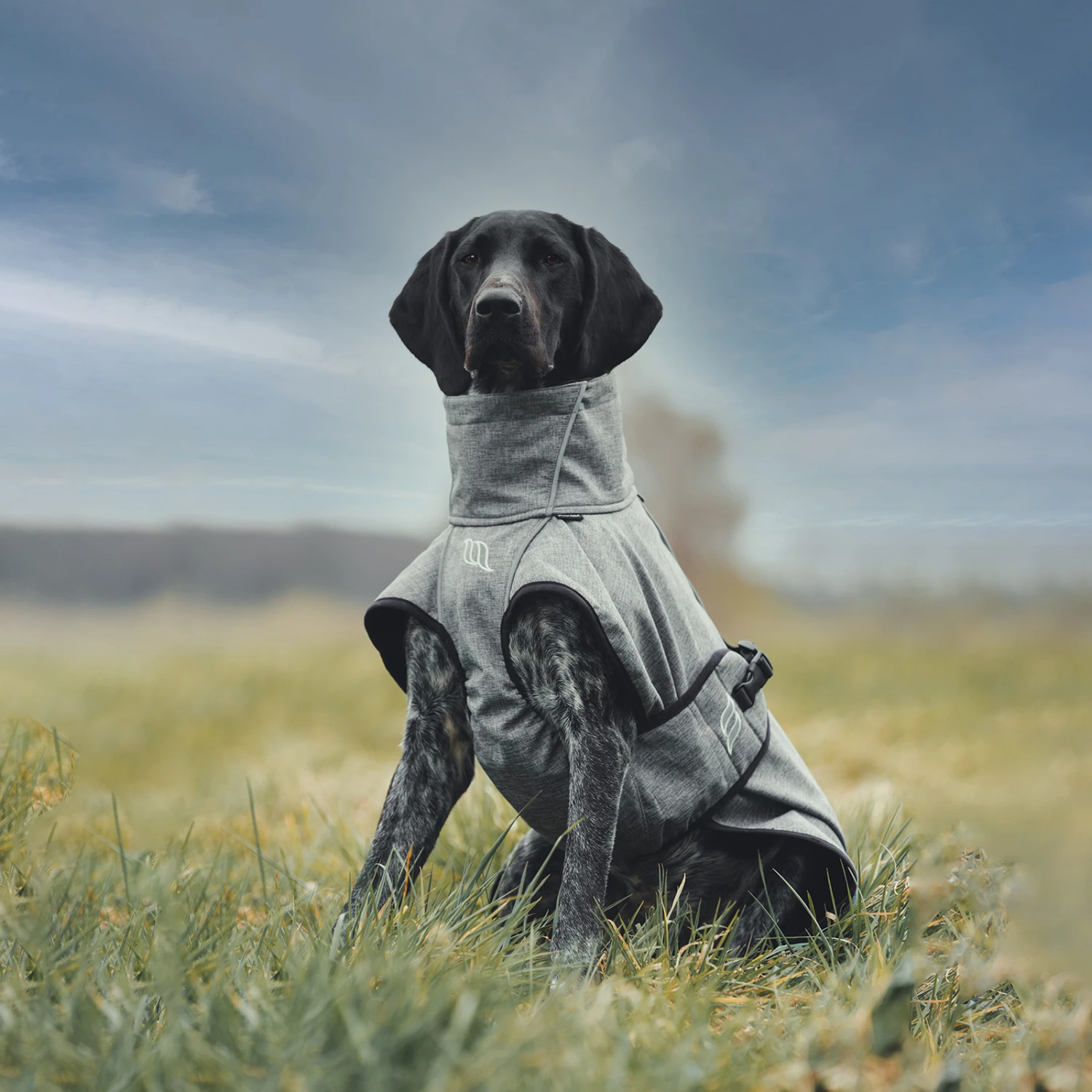 Back On Track Bark All-Round Hundemantel, 25-35cm 8 Back On Track Bark All-Round Hundemantel, 25-35cm – Bild 8