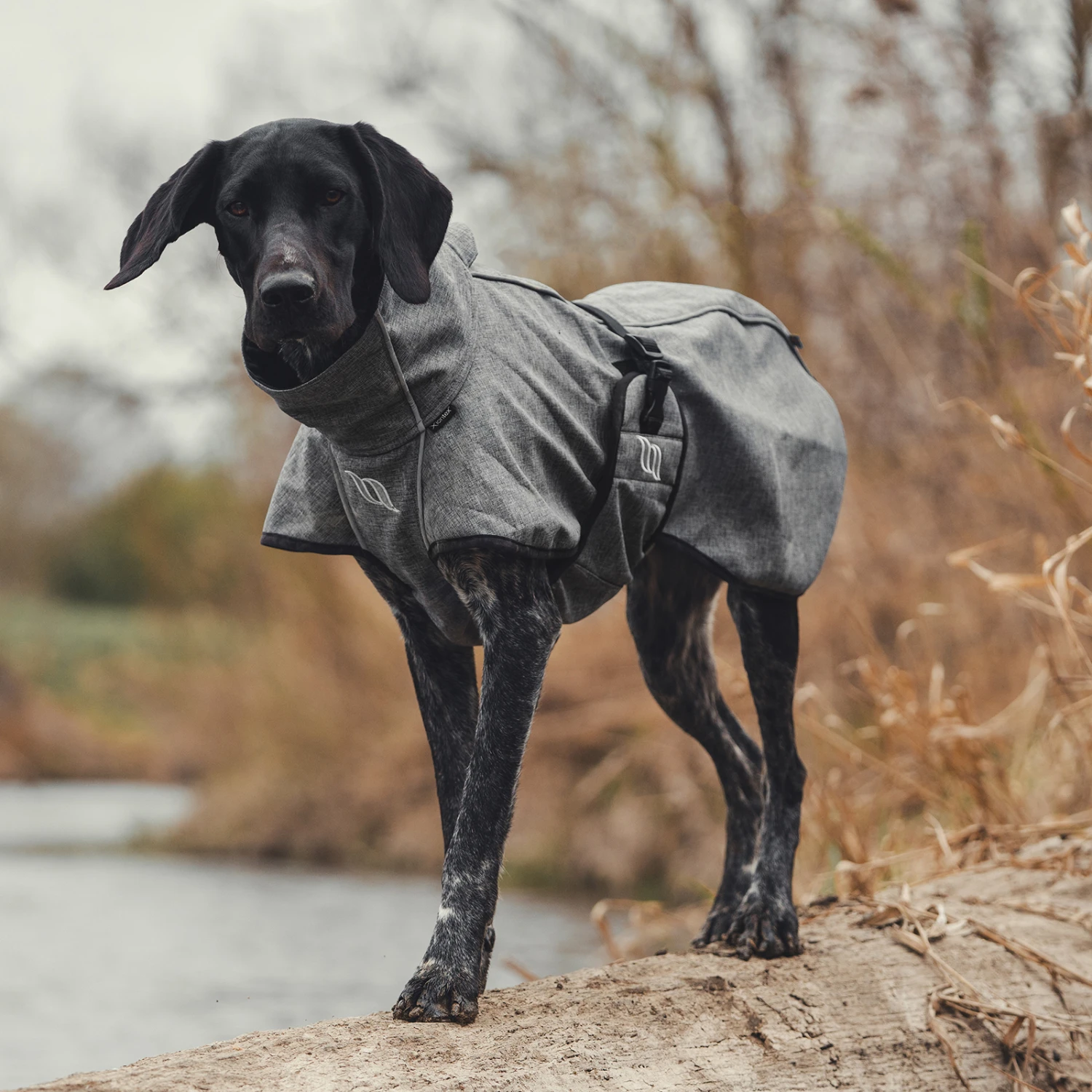 Back On Track Bark All-Round Hundemantel, 25-35cm 10 Back On Track Bark All-Round Hundemantel, 25-35cm – Bild 10