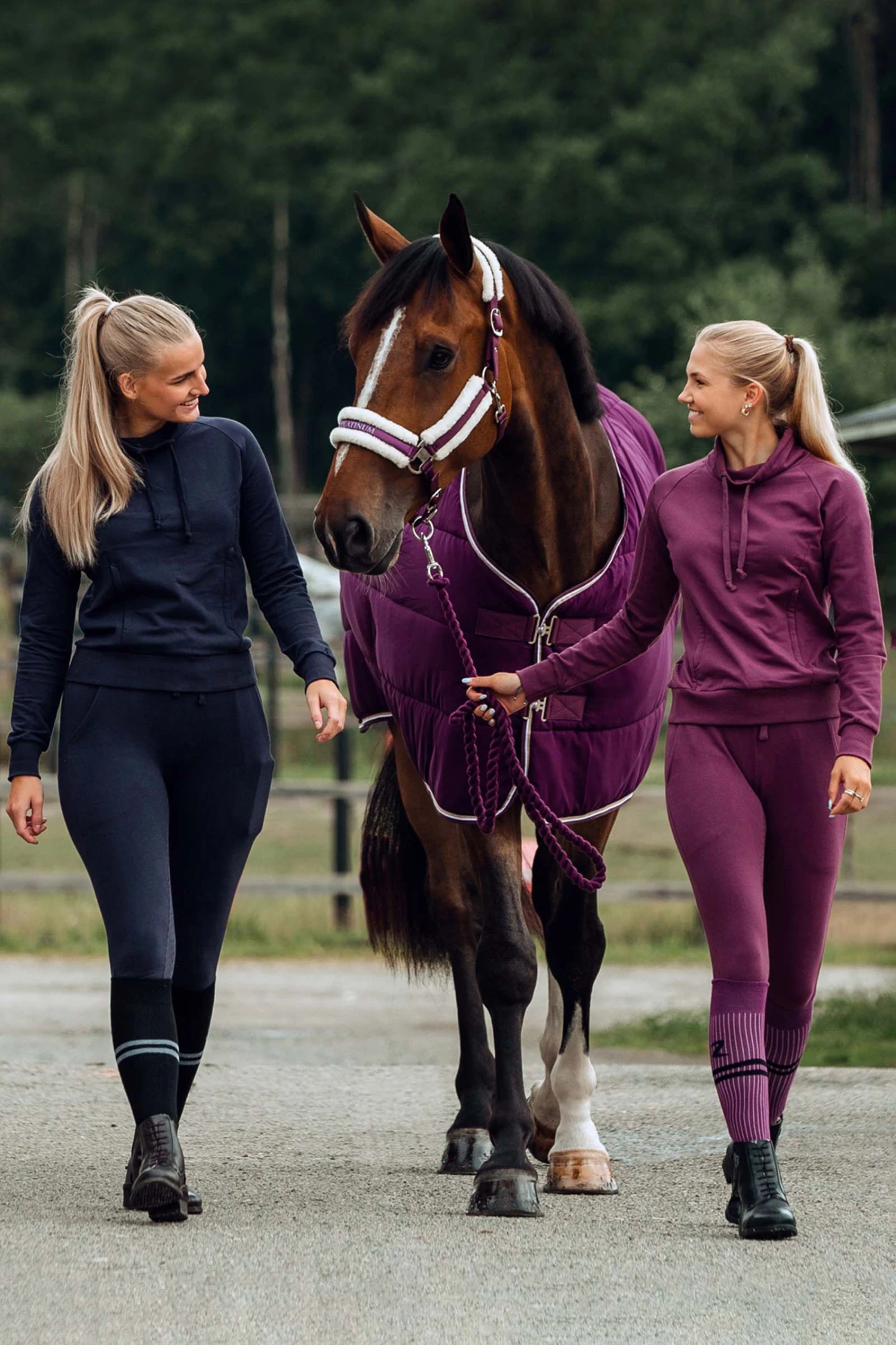 Horze Elinor Damen Sweatshirt Mit Hohem Kragen 9 Horze Elinor Damen Sweatshirt Mit Hohem Kragen – Bild 9