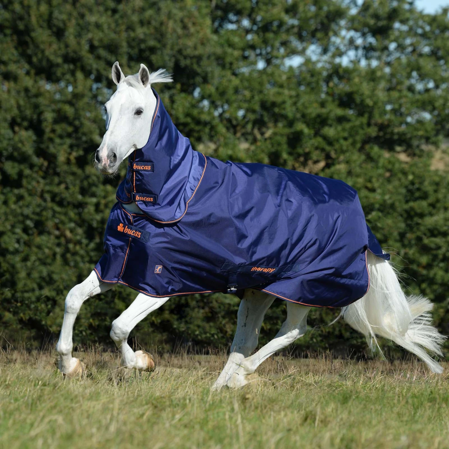 Bucas Therapy Turnout Neck Halsteil 1 Bucas Therapy Turnout Neck Halsteil