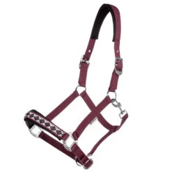 Kavalkade Classic Halfter 14 Kavalkade Classic Halfter -Cavallo Verkäufe 335662 DRE 1