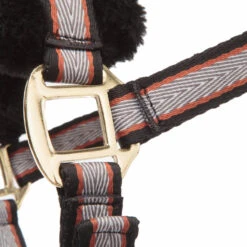 Kavalkade Gretchen Halfter -Cavallo Verkäufe 335701 BL CU G 2