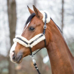 Kavalkade Marvellous Lederhalfter Mit Lammfell -Cavallo Verkäufe 335727 BL 6