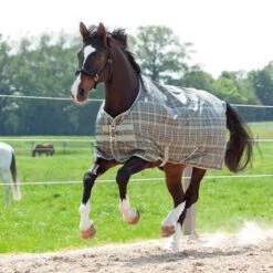 Kavalkade Montreal Weidedecke, 100g -Cavallo Verkäufe 335735 GR CHK 1