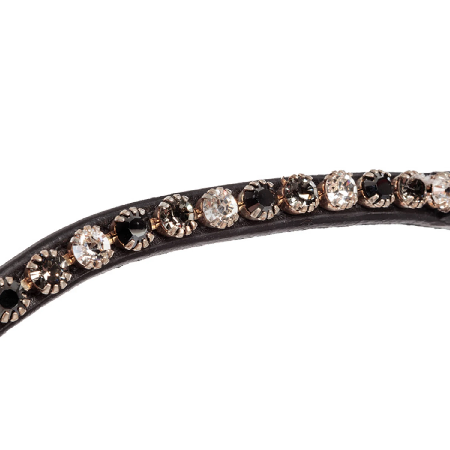 Kavalkade Reyna KavalSH4 Trense 5 Kavalkade Reyna KavalSH4 Trense – Bild 5