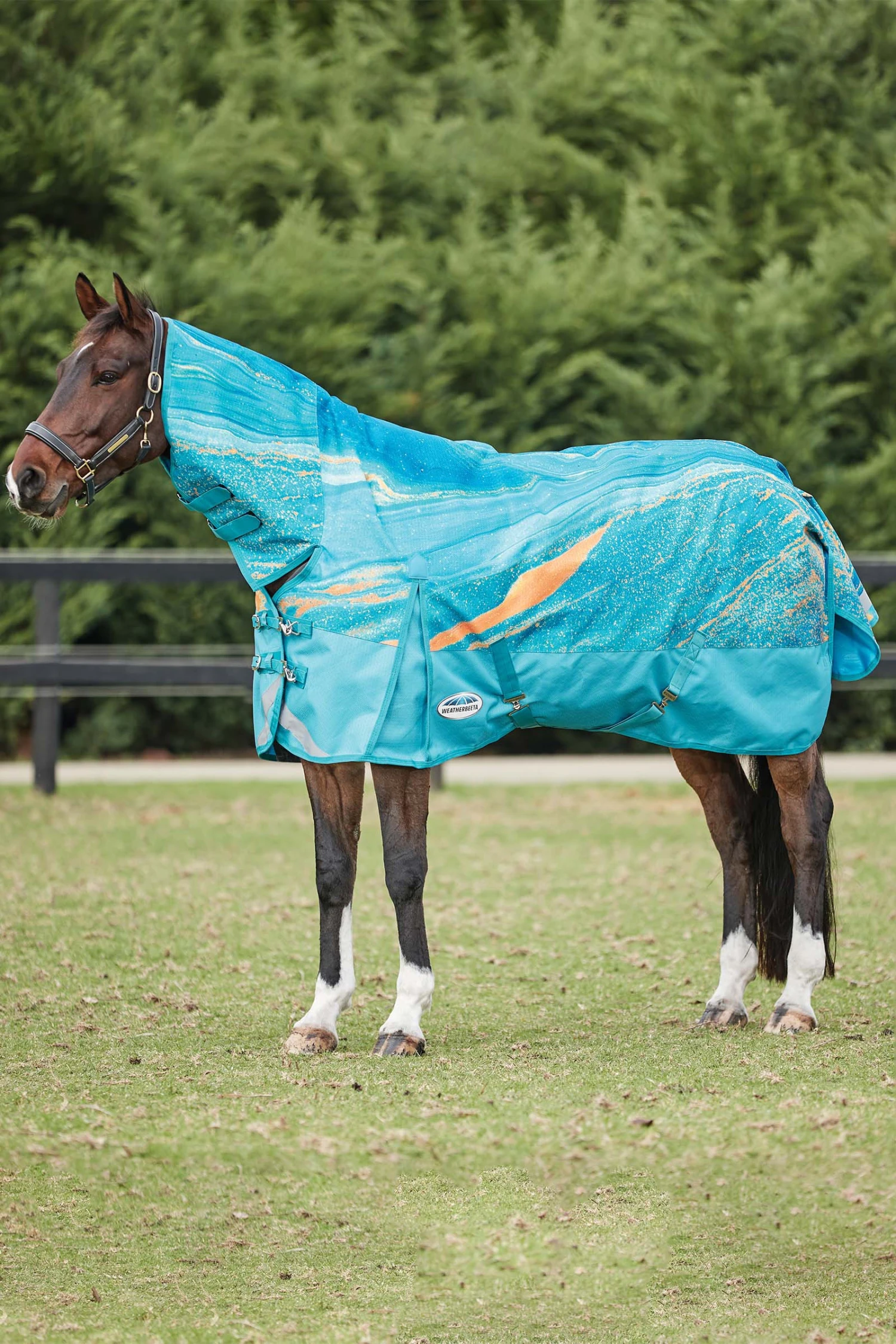 Weatherbeeta Comfitec Plus Dynamic II Weidedecke Mit Integriertem Halsteil, 0g 3 Weatherbeeta Comfitec Plus Dynamic II Weidedecke Mit Integriertem Halsteil, 0g – Bild 3