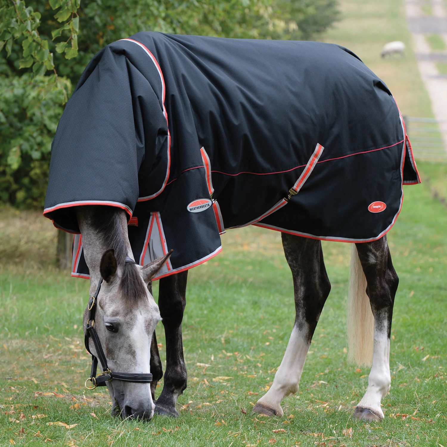 Weatherbeeta Comfitec Premier Therapy-Tec Therapiedecke Inkl Abnehmbarem Halsteil, 220g 2 Weatherbeeta Comfitec Premier Therapy-Tec Therapiedecke Inkl Abnehmbarem Halsteil, 220g – Bild 2