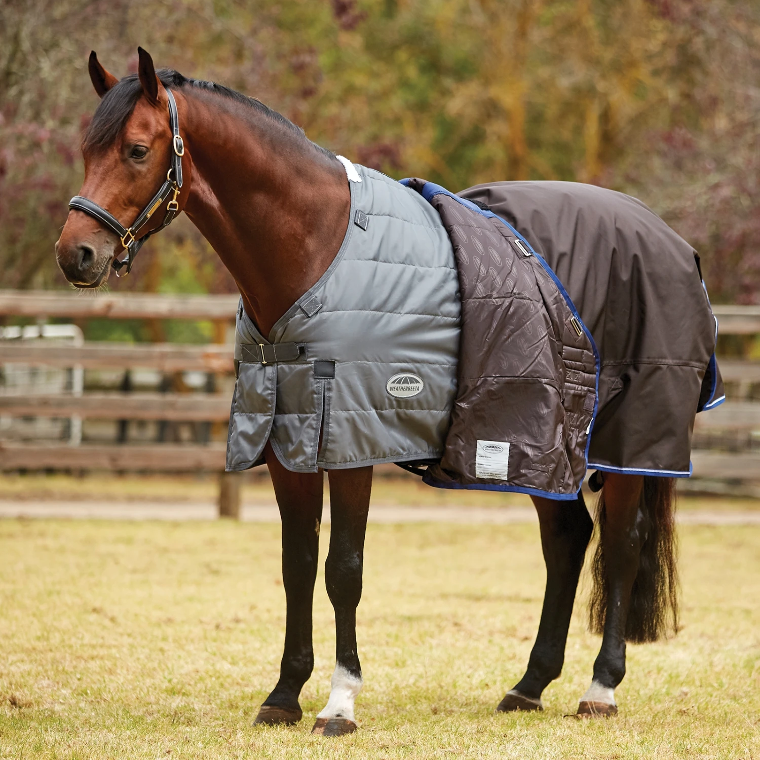 Weatherbeeta Comfitec Ultra Cozi II Weidedecke Inkl. Abnehmbarem Halsteil, 100g 2 Weatherbeeta Comfitec Ultra Cozi II Weidedecke Inkl. Abnehmbarem Halsteil, 100g – Bild 2